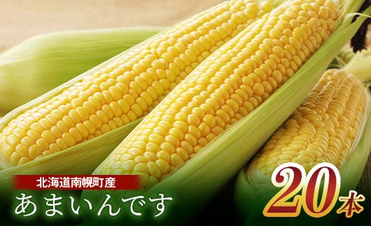 
令和6年発送 北海道産 とうもろこし あまいんです20本 朝採れ 一番果 産地直送 数量限定 期間限定 NP1-173
