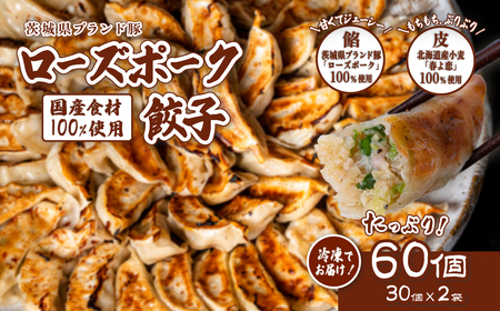 餃子 60個 ブランド豚 餃子
