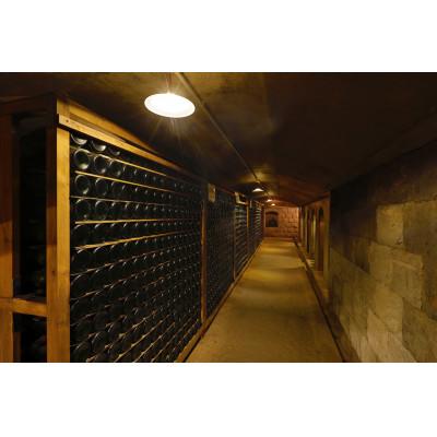 ふるさと納税 久留米市 田主丸町巨峰ワインとブルーベリーワインのセット |  | 03