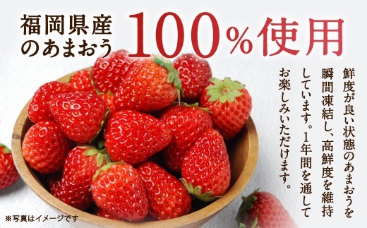 訳あり福岡県産冷凍あまおう約500g