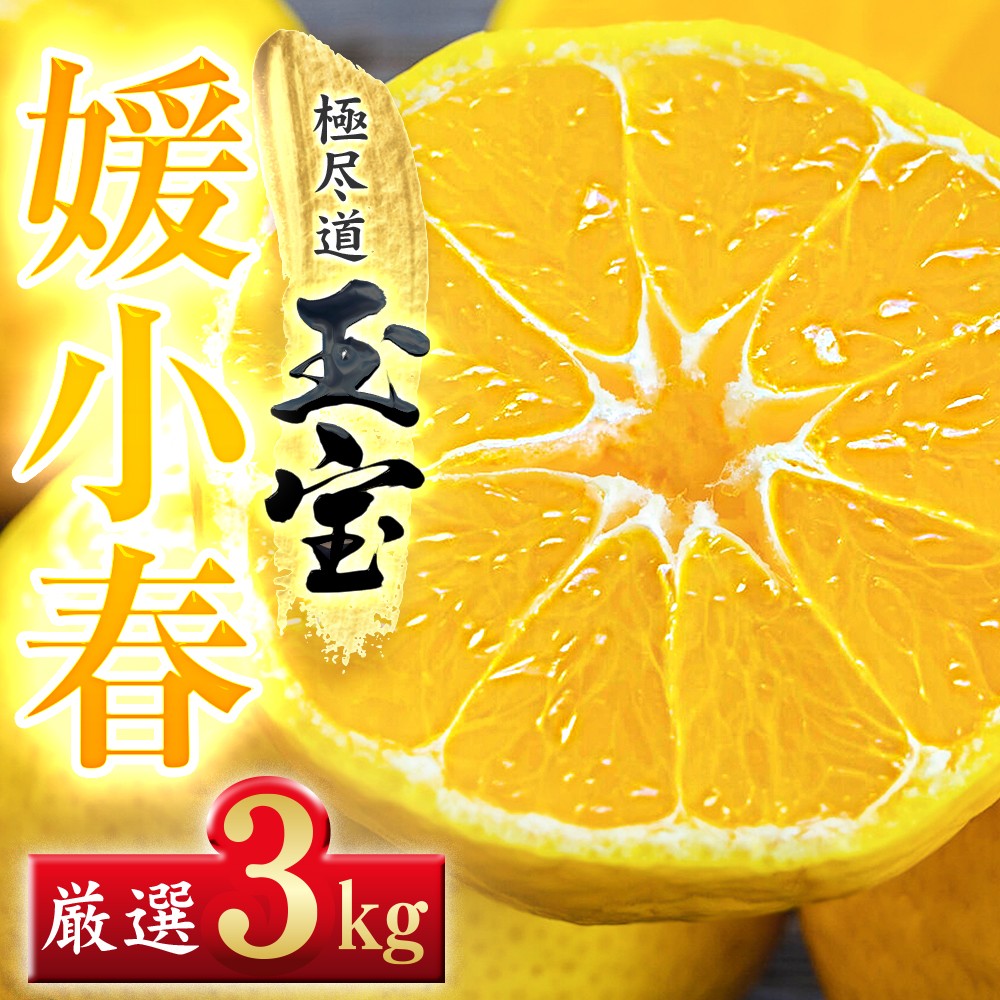 
                  ＜愛媛名産＞玉宝媛小春(ひめこはる)　3kg＜E64-86＞【1623969】 YWTY075
                