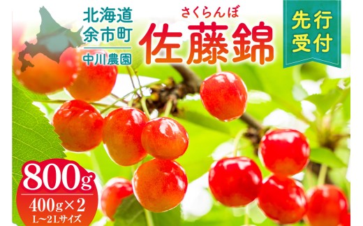 2026年発送【先行予約】令和8年産 さくらんぼ 佐藤錦【L～2Lサイズ】400g×2 【合同会社中川農園】