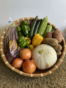 先行受付！天龍村の旬の夏野菜（農産物）詰め合わせセット 令和8年 7月～9月配送予定