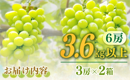 【2027年8月中旬～発送】【数量限定】【糖度18度以上】シャインマスカット 6房 3.6kg以上 （3房 1.8kg以上 × 2箱 / ぶどう ブドウ 葡萄 マスカット しゃいんますかっと フルーツ