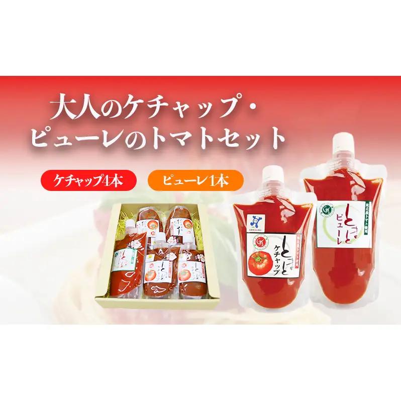 トマト ケチャップ ピューレ セット 無添加 完熟 トマト