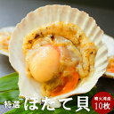 【ふるさと納税】14-127 北海道産ホタテハーフシェル【BBQ用片殻付きほたて】｜ 10枚 ホタテ 帆立 貝柱 貝 片貝 片貝ほたて 殻付き BBQ