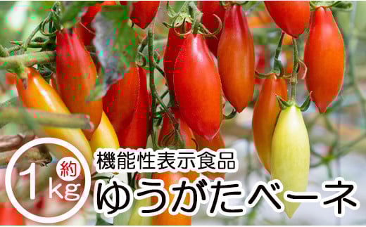 
機能性表示食品 ミニトマト ゆうがたベーネ 1kg - ミニトマト プチトマト フルーツトマト ギフト のし対応 高糖度 お歳暮 御歳暮 贈答用 贈り物 is-0010
