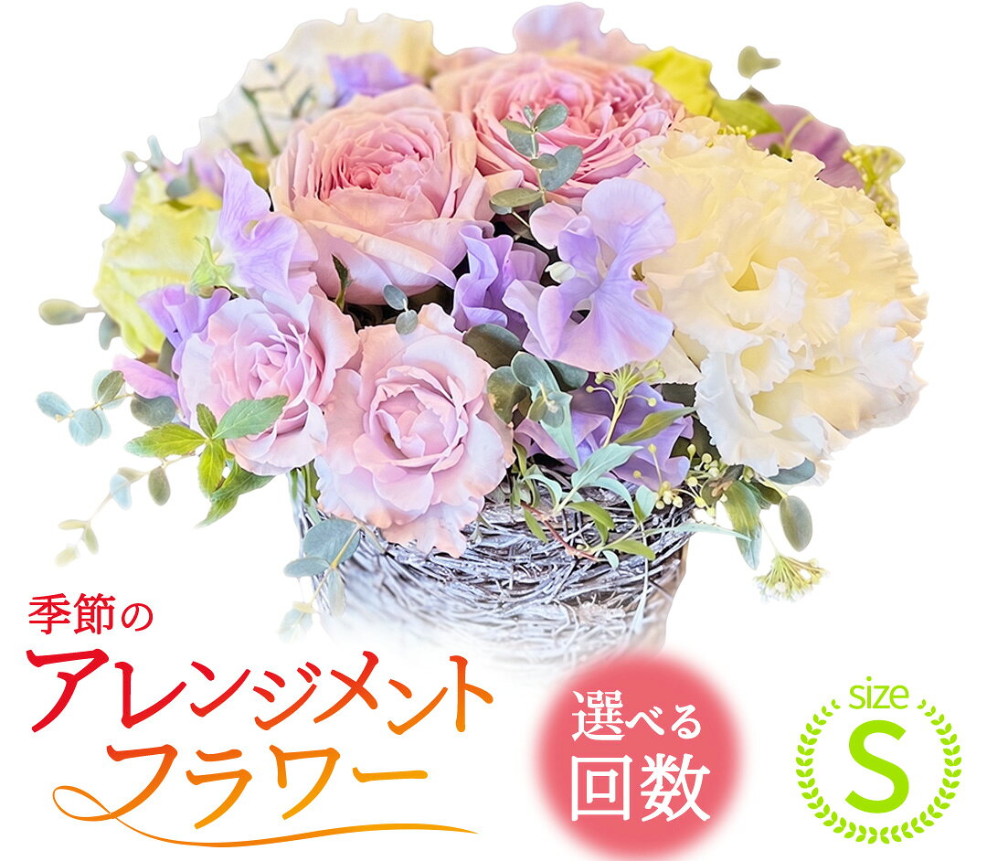 【ふるさと納税】【 選べる お届け 回数 】季節 の フラワー アレンジメント ＜ S ＞ 花 お花 季節の花 生花 3ヵ月 6ヶ月 12ヶ月 定期便　記念日 誕生日 自宅用 インテリア 部屋飾り 装飾 贈答 ギフトプレゼント おしゃれ 茨城県 城里町