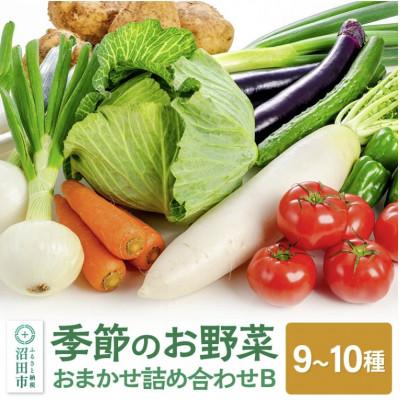 ふるさと納税 沼田市 季節のお野菜　おまかせセット　B