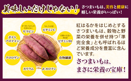 厳選 紅はるか 5kg しょうた農園《12月上旬-3月末頃出荷》福岡県 鞍手町 紅はるか さつまいも 芋 いも イモ サツマイモ