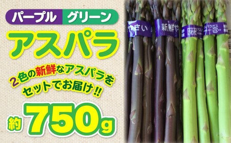 北上産 アスパラ 【予約受付 2026年産】5月上旬～発送開始予定  パープルアスパラ・グリーンアスパラ 計約 750g アスパラ 2色 セット 紫 緑 野菜 国産 岩手 北上 フルーツきやなぎ 岩手県 北上市 B0243