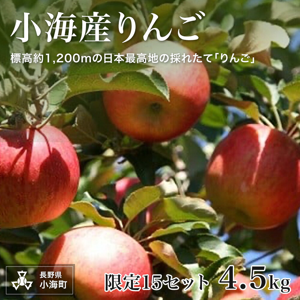 【ふるさと納税】小海産りんご 4.5kg【先行予約】| 長野 小海町 りんご 果物 甘い