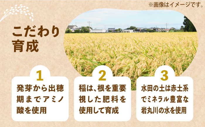 【全3回定期便】【令和6年産】【先行予約】 ひかりファーム の 夢つくし 10kg【2024年10月以降順次発送】《築上町》【ひかりファーム】 [ABAV035] 50000円 5万円 50000円 