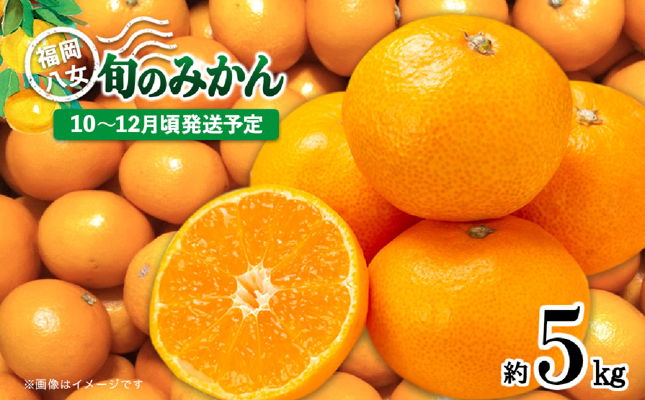 【先行受付】九州・福岡フルーツ王国八女 産地直送！旬のみかん 約5kg【2026年10月～12月頃発送】＜配送不可：北海道・沖縄・離島＞ みかん 旬 早生 レギュラー No.1 産地直送 福岡県 八女市