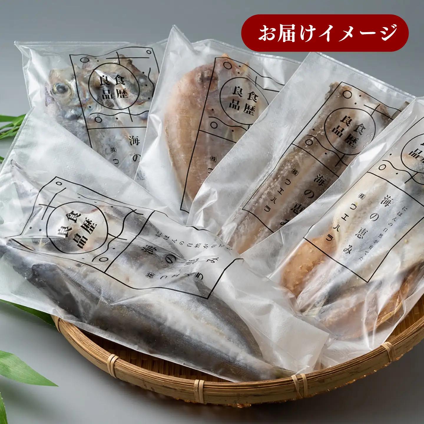 【1週間以内発送】対馬 一汐干し お魚 セット 5種10枚 [WAI006] アジ 穴子 カマス 連子鯛 干物 スピード発送 最速発送 最短発送