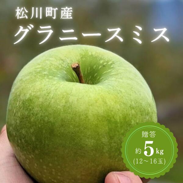 【ふるさと納税】 グラニースミス 贈答 約5kg（12～16玉） りんご 長野県 松川町 南信州　KR35