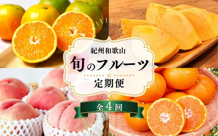 【7・8・10・12月 全4回】紀州和歌山産旬のフルーツセット（バレンシアオレンジ・桃・ひらたねなし柿・みかん）【UT80】【Z91143-tkb】