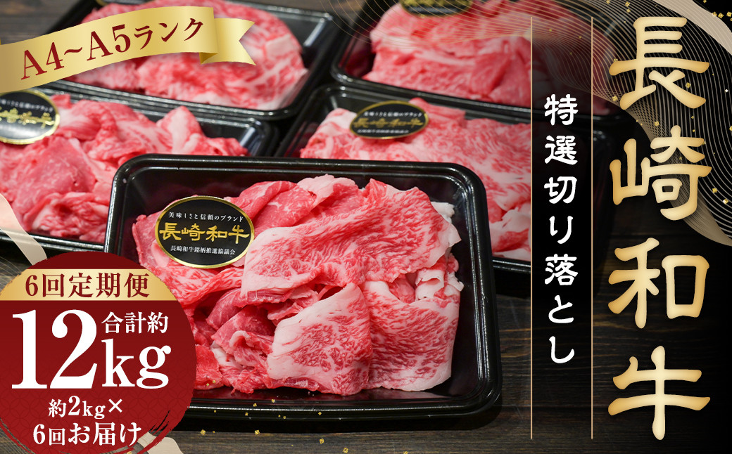 
                  【全6回定期便】【A4～A5ランク】長崎和牛特選切り落とし 約2kg (200g×10パック) 長崎 牛肉 肉 牛 和牛 国産牛 国産 長崎和牛 すき焼き 焼肉 バーベキュー 小分け 冷凍
                