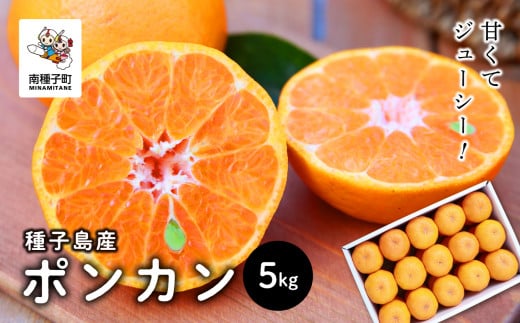 《先行予約》　《2025年12月中旬頃〜1月中旬頃順次発送》種子島産ポンカン5kg（24玉～30玉）