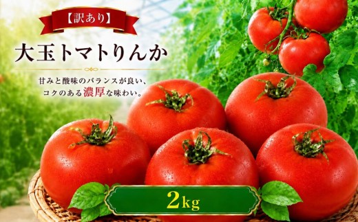 【訳あり】【R8年12月順次発送】大玉トマトりんか 2kg | 大玉 トマト りんか 野菜 家庭用 訳ありトマビレファーム 岐阜 北方町