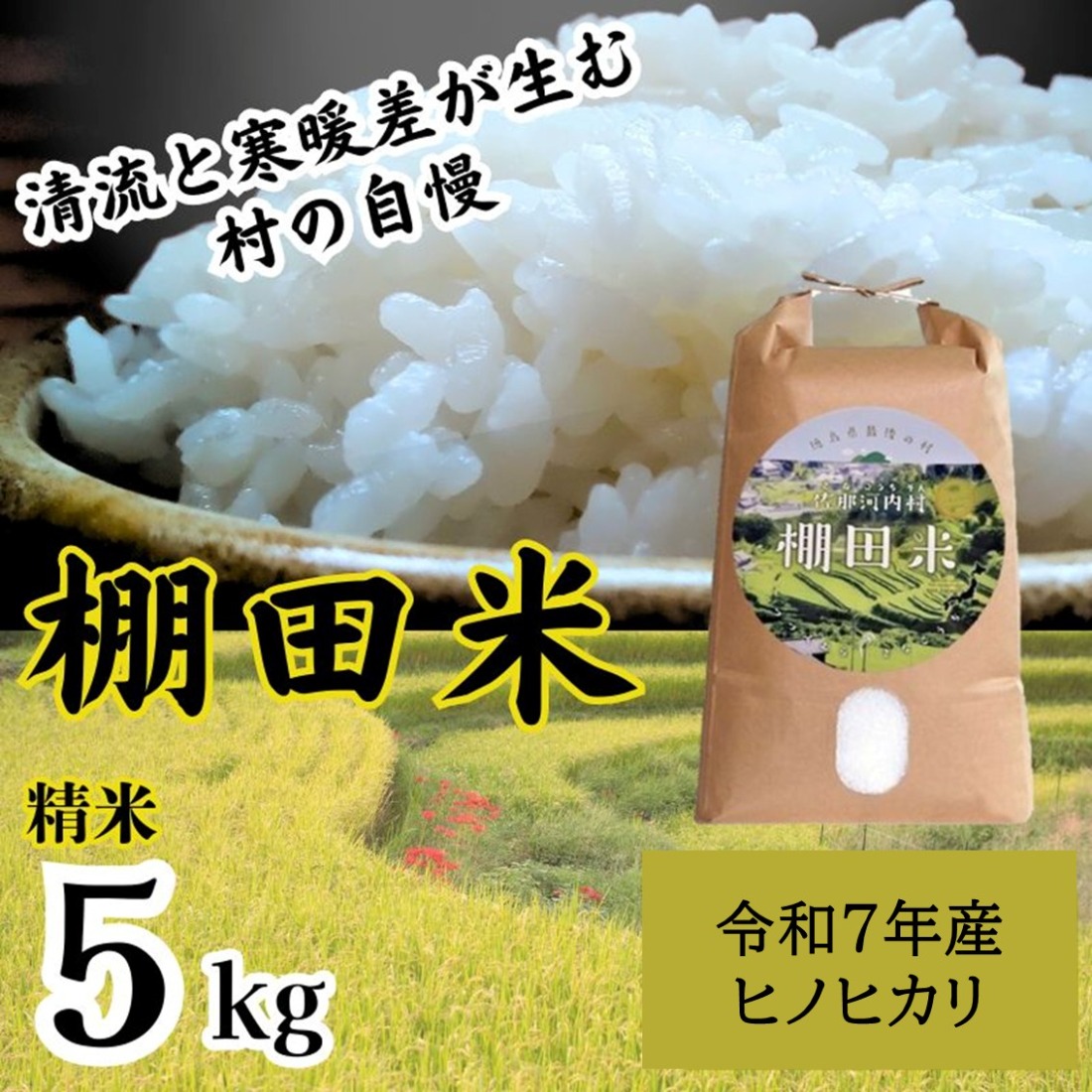 ”清流と寒暖差が生む“村自慢の「棚田米」5kg《10月上旬-10月末頃発送》※袋パッケージが変更になる可能性がございます。　佐那河内 さなごうち 徳島 新米 ひのひかり ヒノヒカリ 5キロ 弁当 令和7年 棚田 精米 お米 2025年 白米 ごはん ---sanagouchi_lcl_15_5kg---