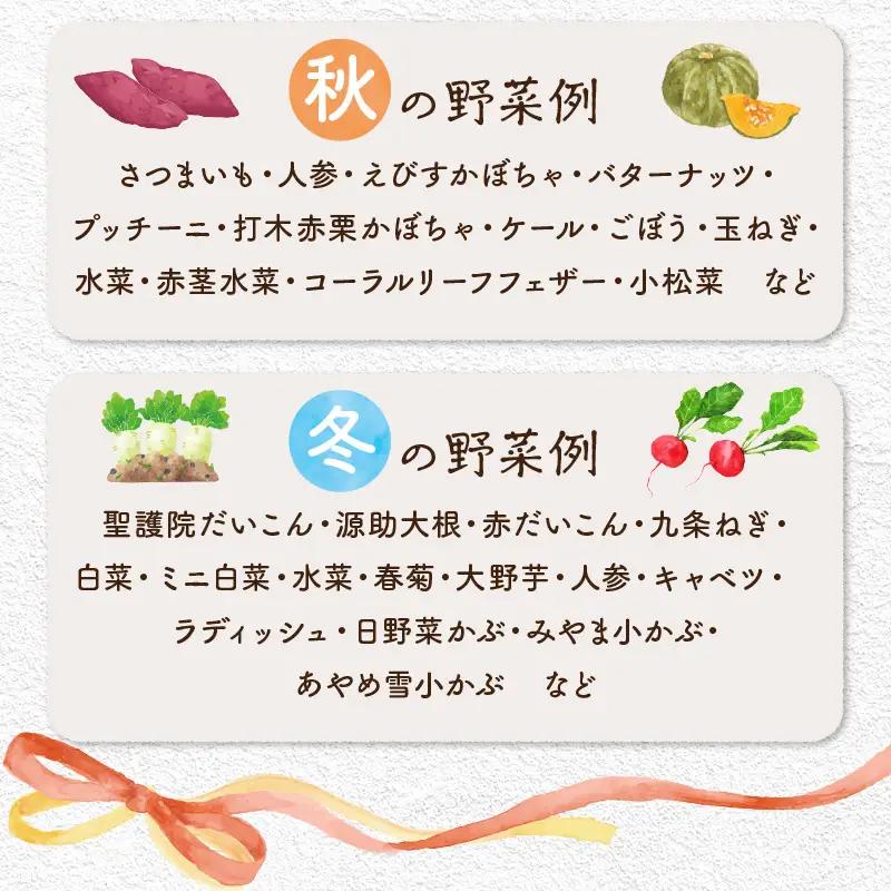 【4回定期便】春夏秋冬自然栽培野菜セット(年4回)4～5人用 野菜