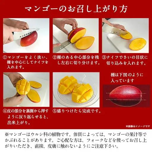 【先行受付!】宮崎県産完熟マンゴー(A等級) 【3L以上×2玉】化粧箱入り≪2027年5月中旬以降順次お届け≫〔AE-0112〕_(都城市) 宮崎県産 完熟マンゴー 化粧箱入り 3Lサイズ 糖度13度