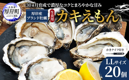 牡蠣 LLサイズ 20個 カキえもん 厚岸で産まれ30ヵ月育成 牡蠣