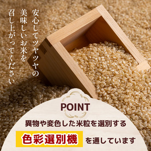 栃木県産 コシヒカリ10kg（5kg×2袋）【栃木県共通返礼品】AB | 栃木県 下野市