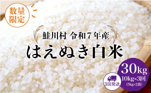 
                  ＜令和7年産 鮭川村 はえぬき＞【白米】 定期便 30kg （10kg×1ヶ月間隔3回発送）＜配送時期指定可＞ ◇数量限定となります◇
                