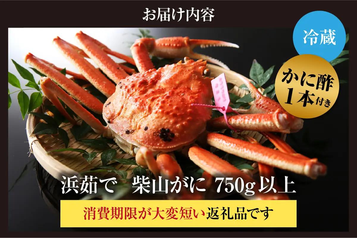【先行予約】カネニの浜茹で柴山がに 750g以上 冷蔵【令和8年11月中旬以降発送予定】 高級 かに カニ 06-20