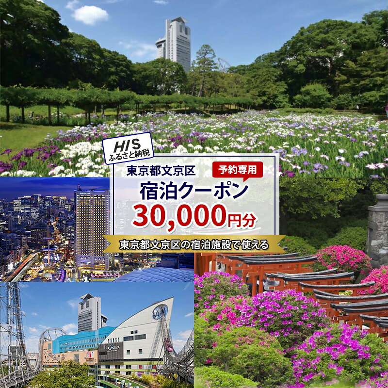 【ふるさと納税】宿泊券 HIS宿泊予約専用クーポン 30000円分 旅行券 トラベルクーポン 旅行予約 東京都文京区