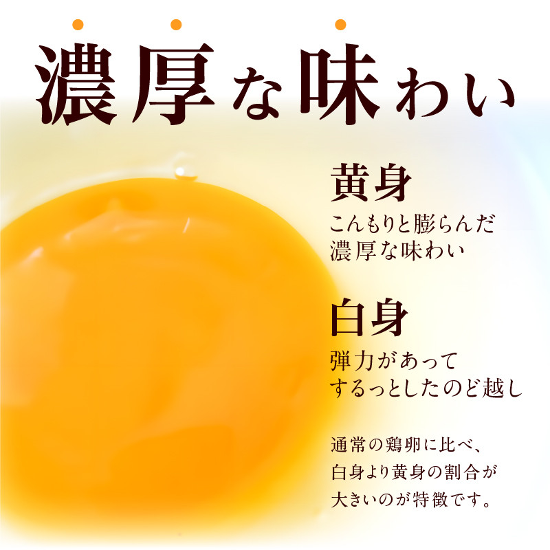 【6ヶ月定期便】名古屋コーチン卵・仙寿卵お試しセット（各10個入り）×6回（計各60個）