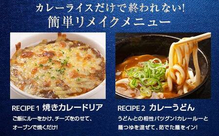 ちょっと贅沢なビーフカレー10個セット F4H-0473