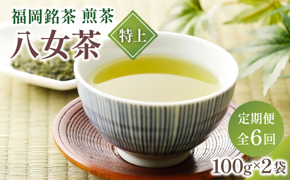  ＜定期便・全6回＞八女茶【特上】煎茶セット 100g×2袋 定期便（全6回）