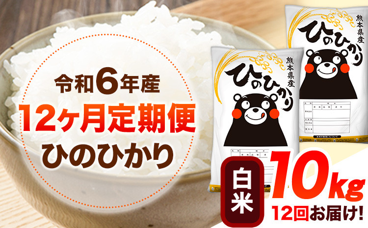 
            令和6年産 【12ヶ月定期便】 白米 ひのひかり 10kg 《お申し込み月の翌月から出荷開始》 熊本県産 白米 精米 ひの 送料無料 熊本県 山江村 SDGs 米 コメ こめ 国産
          