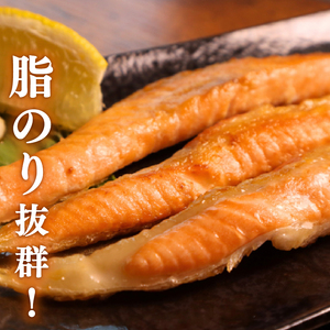 訳あり 鮭 ハラス 1.8kg  【鮭】