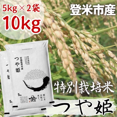 【毎月定期便】【特別栽培米】宮城県登米市産つや姫精米5kg×2個全3回【4095050】