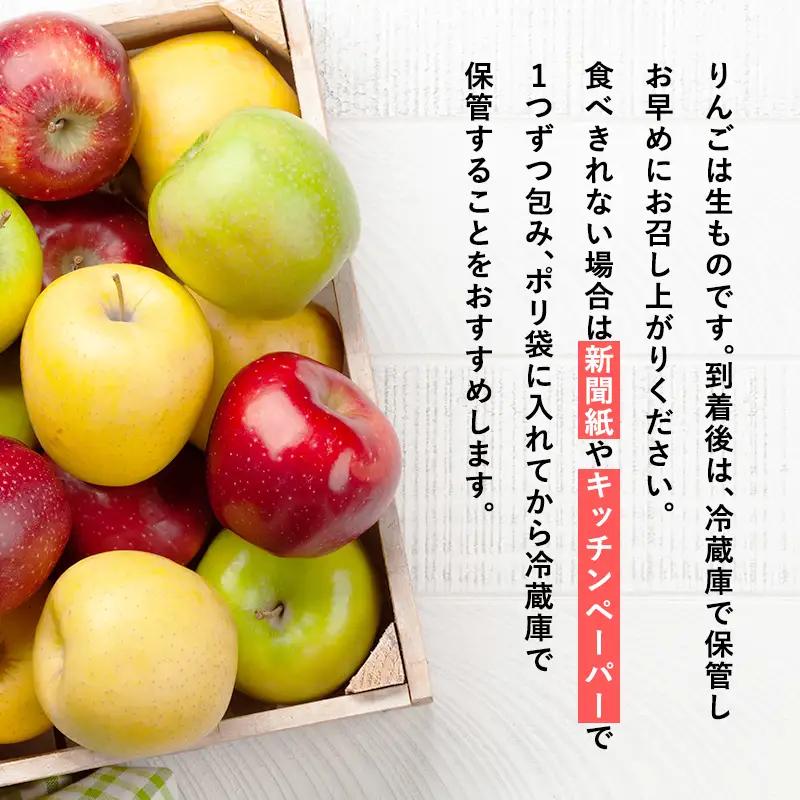 りんご 贈答用 葉とらずサンふじ5kg  [hi-0053-051]