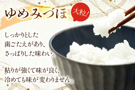米 ゆめみづほ パックご飯 150g ×20パック [翠の波 石川県 宝達志水町 38601011] お米 コメ ご飯 ごはん パック ライス 白米 精米 レトルト レンジ 防災 非常食 備蓄 保存食