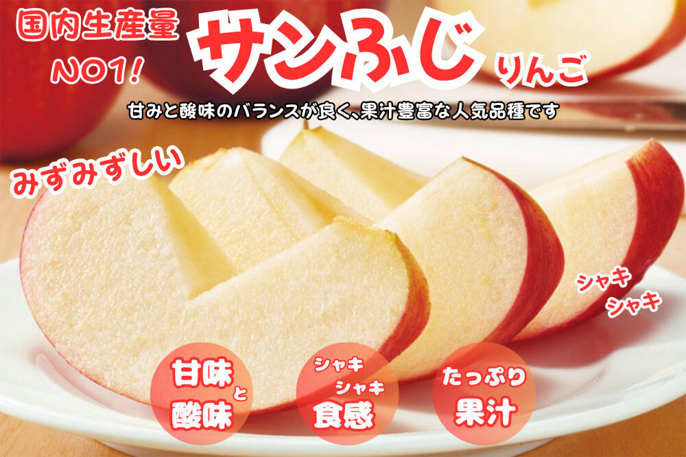 【26年12月発送】りんご サンふじ【訳あり】約5kg ふじりんご 青森県産 青森 果物 フルーツ 林檎 リンゴ くだもの 弘前市 [先行予約 家庭用 アップル おいしい ふじ りんご 果実 果物 美