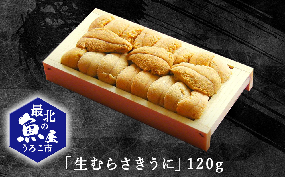 利尻昆布を食べておいしく育った「生むらさきうに」120ｇ