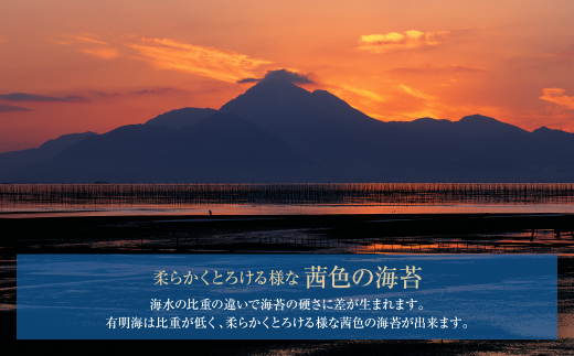 【訳あり】有明海産 焼き海苔 2切8枚×13袋