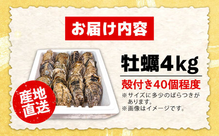 特選 牡蠣三昧！【生牡蠣】広島牡蠣　殻付き4kg  人気 かき 広島 料理 簡単 レシピ 海鮮 ギフト 広島県産 江田島市/株式会社門林水産[XAO010]