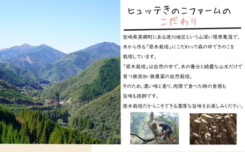 宮崎県産 乾燥 椎茸 40g×1袋 チャック袋入 [ HUTTE 宮崎県 美郷町 31ao0011] 干ししいたけ 出汁 オーガニック 原木栽培 有機JAS認証 料理 調理 小分け 常温 渡川 アヒー
