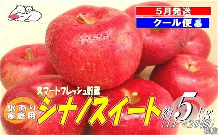 りんご 訳あり家庭用【26年5月出荷】白熊 シナノスイート 約5kg（14～20玉程度） スマートフレッシュ 糖度13度