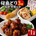 【ふるさと納税】国産 桜島どりおかず加工品3種セット＜計1kg超＞(肉だんご・野菜ハンバーグ・燻製) 肉 鶏肉 肉だんご 野菜 ハンバーグ 燻製 国産 九州産 冷凍 レンチン パーティ【宮下商店】W-2103