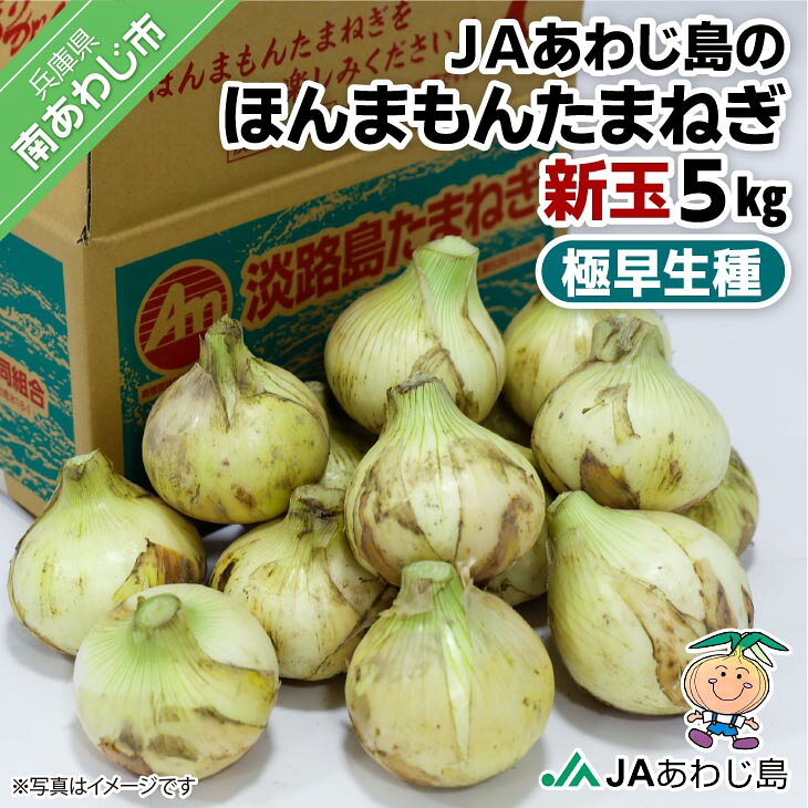 【ふるさと納税】【新玉ねぎ】★発送3月〜★JAあわじ島のほんまもんたまねぎ【5kg】極早生種
