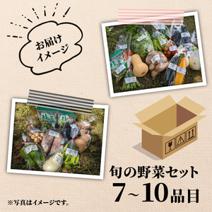 【先行受付】【定期便】旬のお野菜セット 詰め合わせ 3ヶ月定期便（7～10品目） 定期便 3か月 3回 旬 野菜 国産 こだわり野菜セット 京都府産野菜セット 京丹波町産野菜セット 季節 セット 野菜