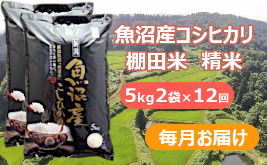 【先行予約】【令和7年産 新米】【12か月定期便(毎月全12回)】魚沼産コシヒカリ棚田米 白米5kg2袋×12回（毎月お届け）※2025年9月下旬以降より順次発送予定 佐藤農場 【0018-0005DB00-01】